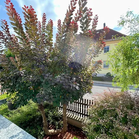 Ilm-oase-vollausstattung-netflix-rtlplus * 伊尔梅瑙