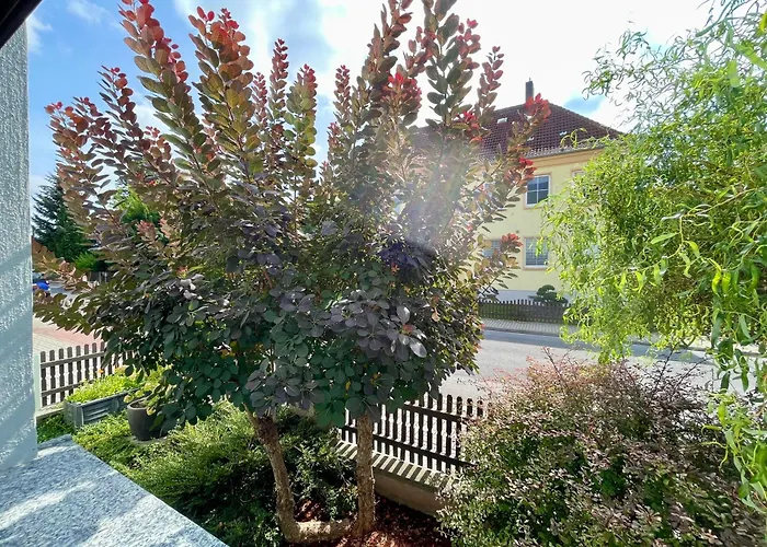 Ilm-oase-vollausstattung-netflix-rtlplus * Ilmenau